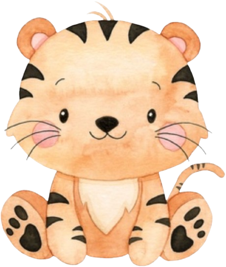 Tigre Safari Baby
