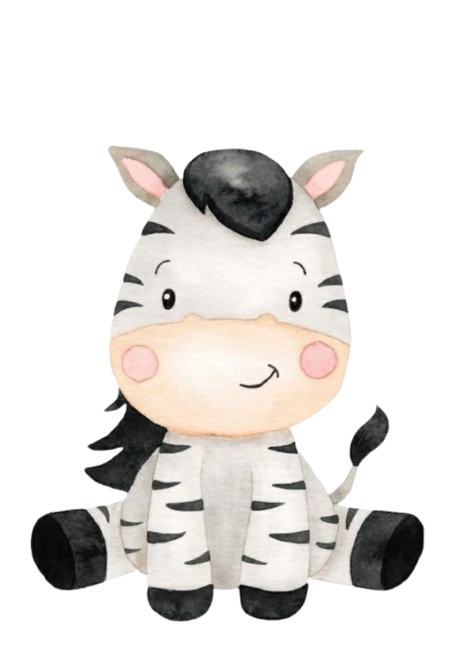 Zebra Safari Baby